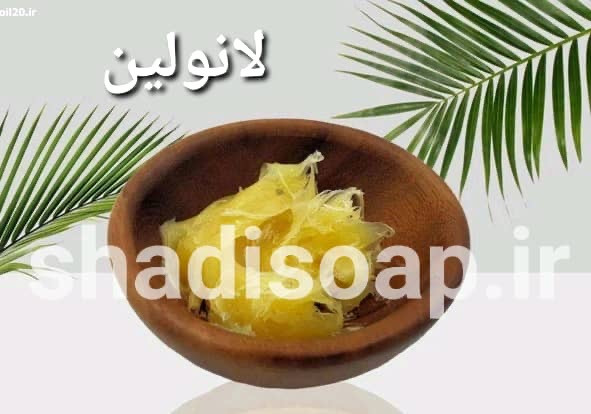 لانولین