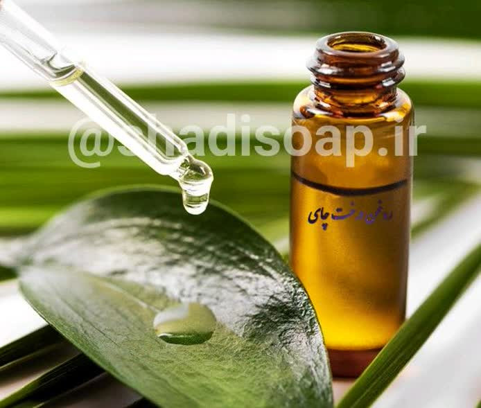 روغن درخت چای