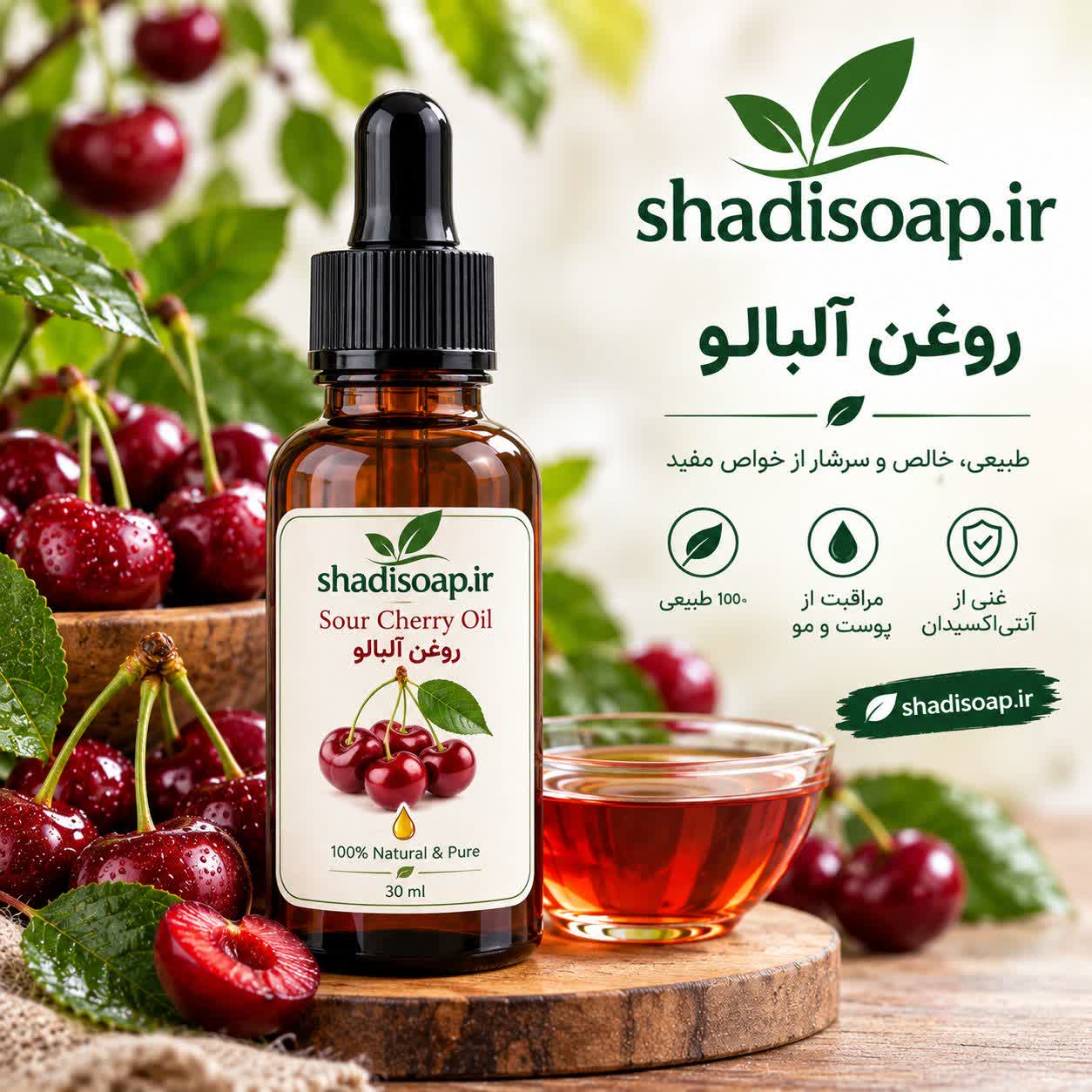 روغن هسته آلبالو