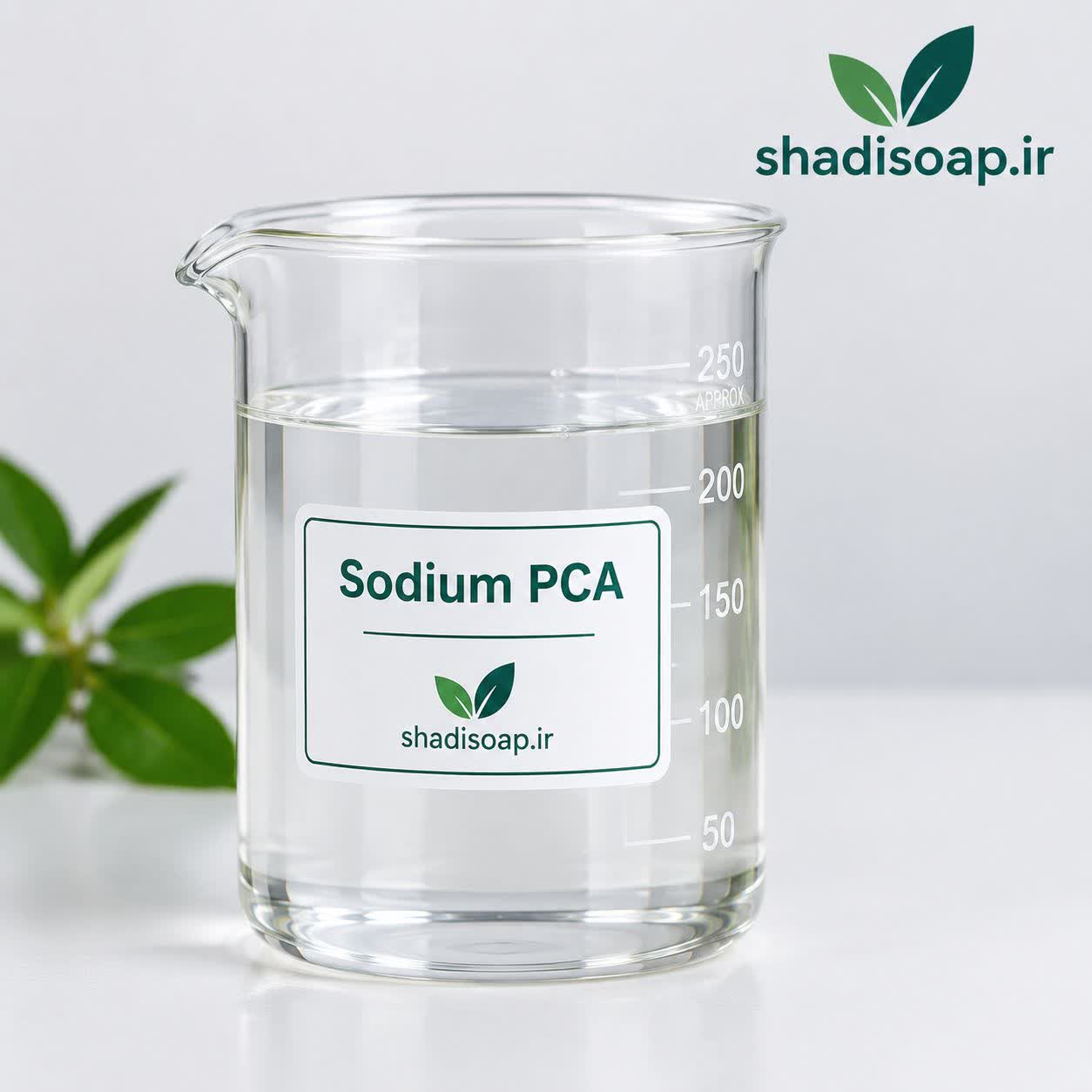 سدیم PCA